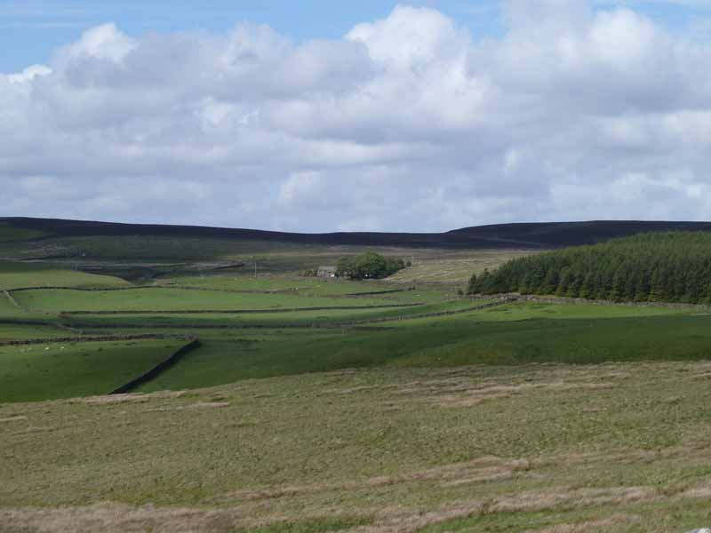 Black Pots Farm